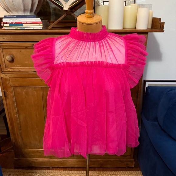 Anthropologie Sunday in Brooklyn Vibrant Pink Ruffled mesh Top - Picture 3 of 9